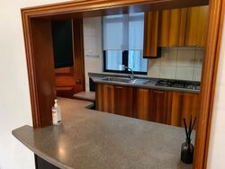 Valley Park (D10), Condominium #591259521